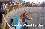 Smoke Weed Errday